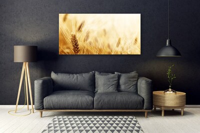 Obraz plexi Pšenica rastlina príroda