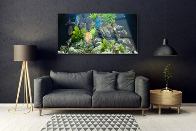 Obraz plexi Ryba kamene listy príroda