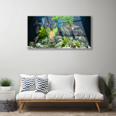 Obraz plexi Ryba kamene listy príroda