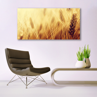 Obraz plexi Pšenica rastlina príroda