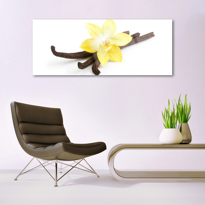 Obraz plexi Vanilka rastlina príroda