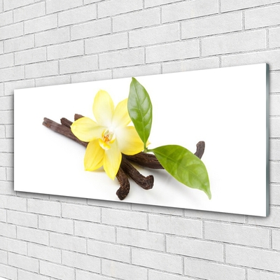 Obraz plexi Vanilka listy rastlina