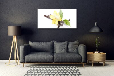 Obraz plexi Vanilka listy rastlina