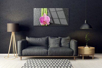 Obraz plexi Bambus kvet rastlina príroda