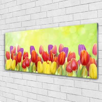 Obraz plexi Tulipány kvety rastlina