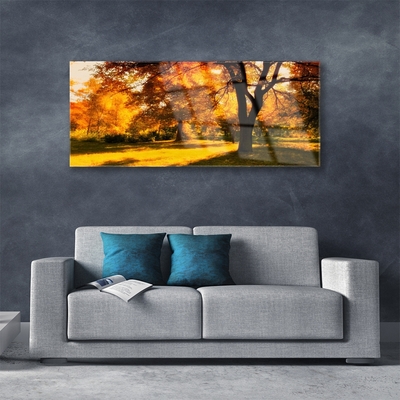 Obraz plexi Stromy jeseň príroda