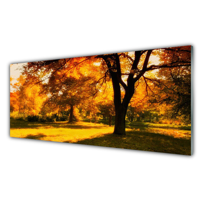 Obraz plexi Stromy jeseň príroda