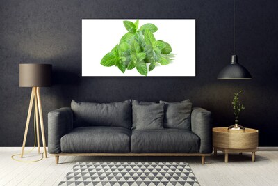 Obraz plexi Mäta rastlina príroda