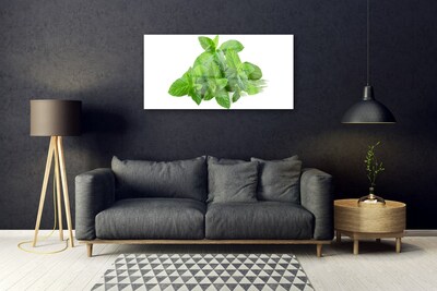 Obraz plexi Mäta rastlina príroda