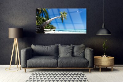 Obraz plexi Pláž palma more krajina