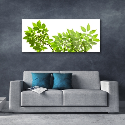 Obraz plexi Vetva listy rastlina príroda