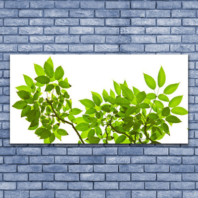 Obraz plexi Vetva listy rastlina príroda