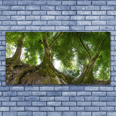 Obraz plexi Stromy rastlina príroda