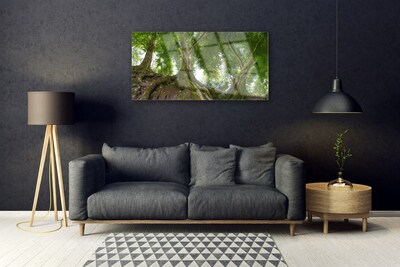 Obraz plexi Stromy rastlina príroda