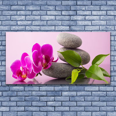 Obraz plexi Kvet kamene zen rastlina