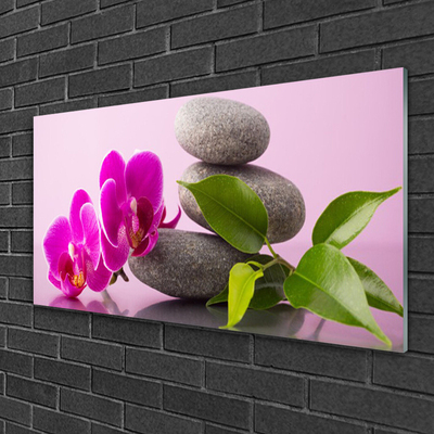 Obraz plexi Kvet kamene zen rastlina