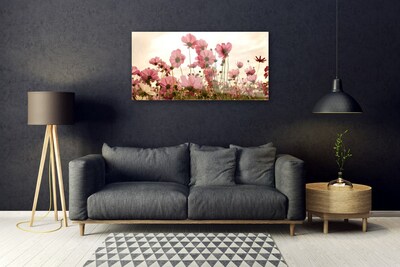 Obraz plexi Poľné kvety lúka príroda