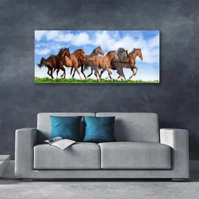 Obraz plexi Cválajúci kone na pastvine