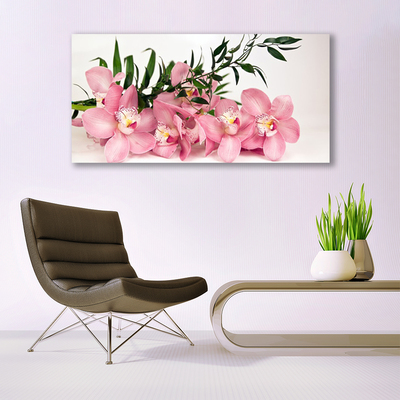 Obraz plexi Orchidea kvety kúpele