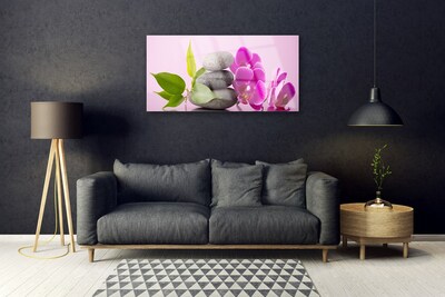 Obraz plexi Orchidea vstavač kamene