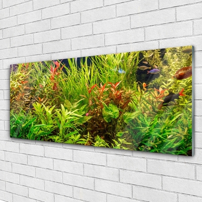 Obraz plexi Akvárium rybičky rastliny