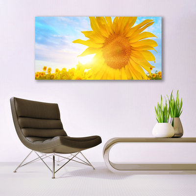 Obraz plexi Slnečnica kvet slnko