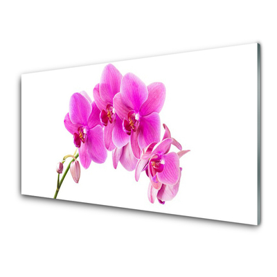 Obraz plexi Vstavač kvet orchidea