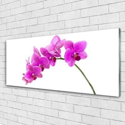 Obraz plexi Vstavač kvet orchidea