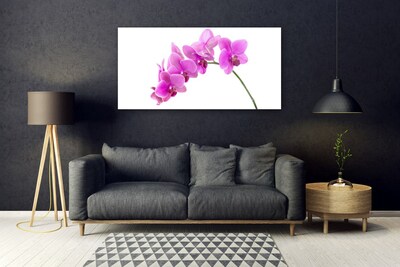 Obraz plexi Vstavač kvet orchidea