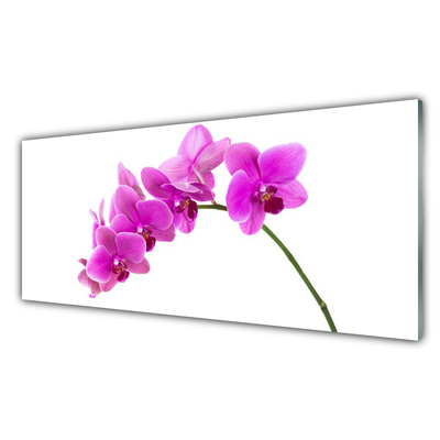 Obraz plexi Vstavač kvet orchidea