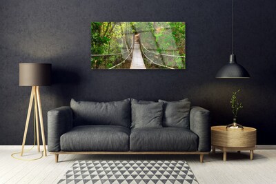 Obraz plexi Most džungľa tropický les