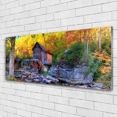 Obraz plexi Vodné mlyn jesenné les