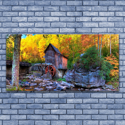 Obraz plexi Vodné mlyn jesenné les