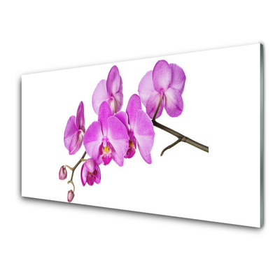 Obraz plexi Vstavač orchidea kvety