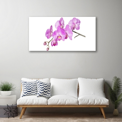 Obraz plexi Vstavač orchidea kvety