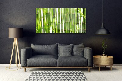Obraz plexi Bambusové výhonky listy bambus