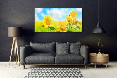 Obraz plexi Slnečnica kvety príroda