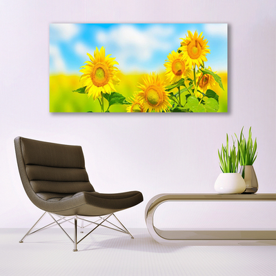 Obraz plexi Slnečnica kvety príroda