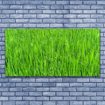 Obraz plexi Zelená tráva príroda trávnik