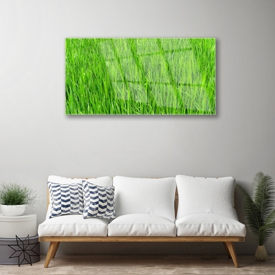 Obraz plexi Zelená tráva príroda trávnik