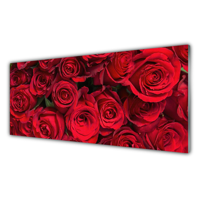 Obraz plexi Červené ruže kvety príroda