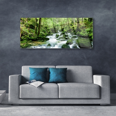 Obraz plexi Les potok vodopády rieka