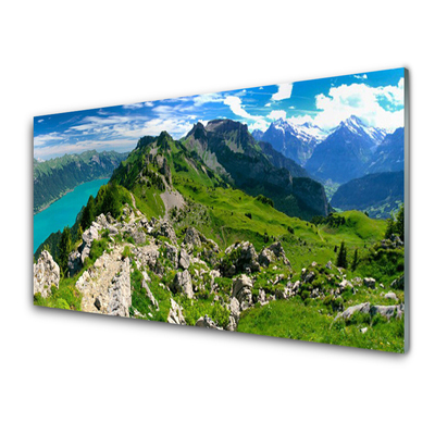 Obraz plexi Lúka hory príroda príroda