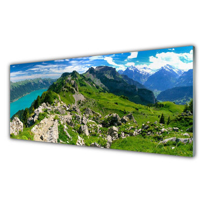 Obraz plexi Lúka hory príroda príroda