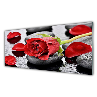 Obraz plexi Ruže kvet kamene zen