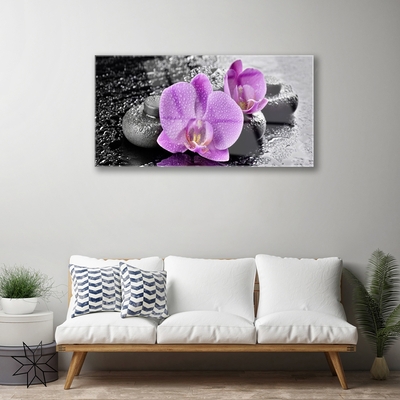 Obraz plexi Orchidea kvety kamene zen