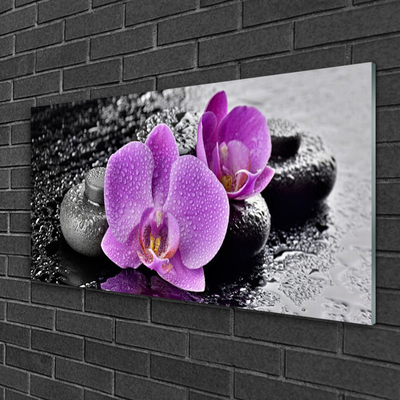Obraz plexi Orchidea kvety kamene zen