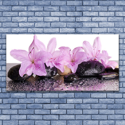 Obraz plexi Kvety kamene zen kúpele