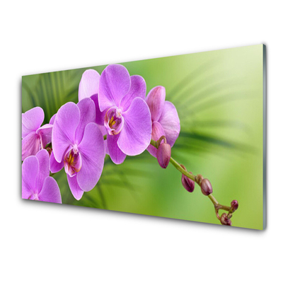 Obraz plexi Vstavač orchidea kvety