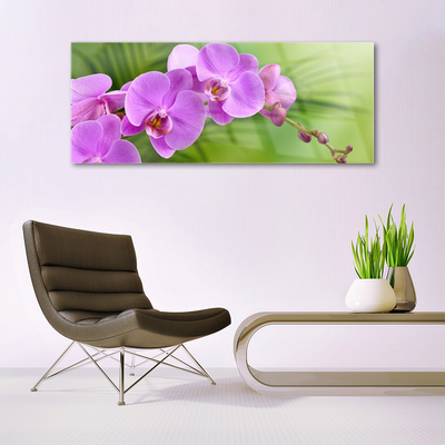 Obraz plexi Vstavač orchidea kvety